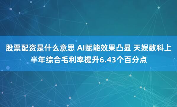股票配资是什么意思 AI赋能效果凸显 天娱数科上半年综合毛利率提升6.43个百分点