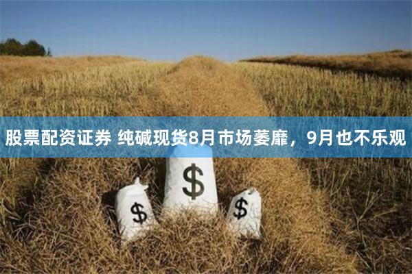 股票配资证券 纯碱现货8月市场萎靡，9月也不乐观