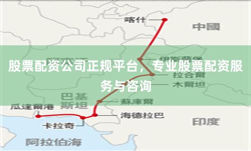 股票配资公司正规平台，专业股票配资服务与咨询