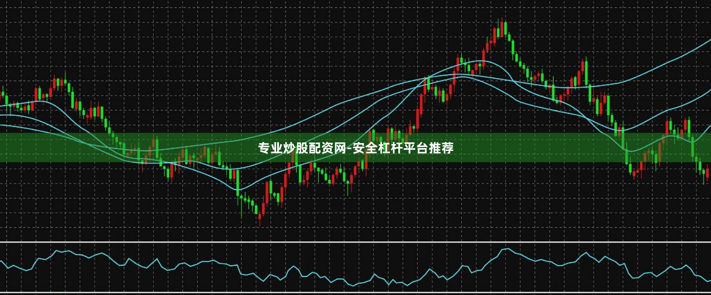 专业炒股配资网-安全杠杆平台推荐