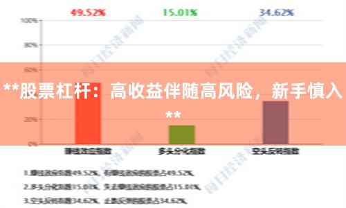 **股票杠杆：高收益伴随高风险，新手慎入**